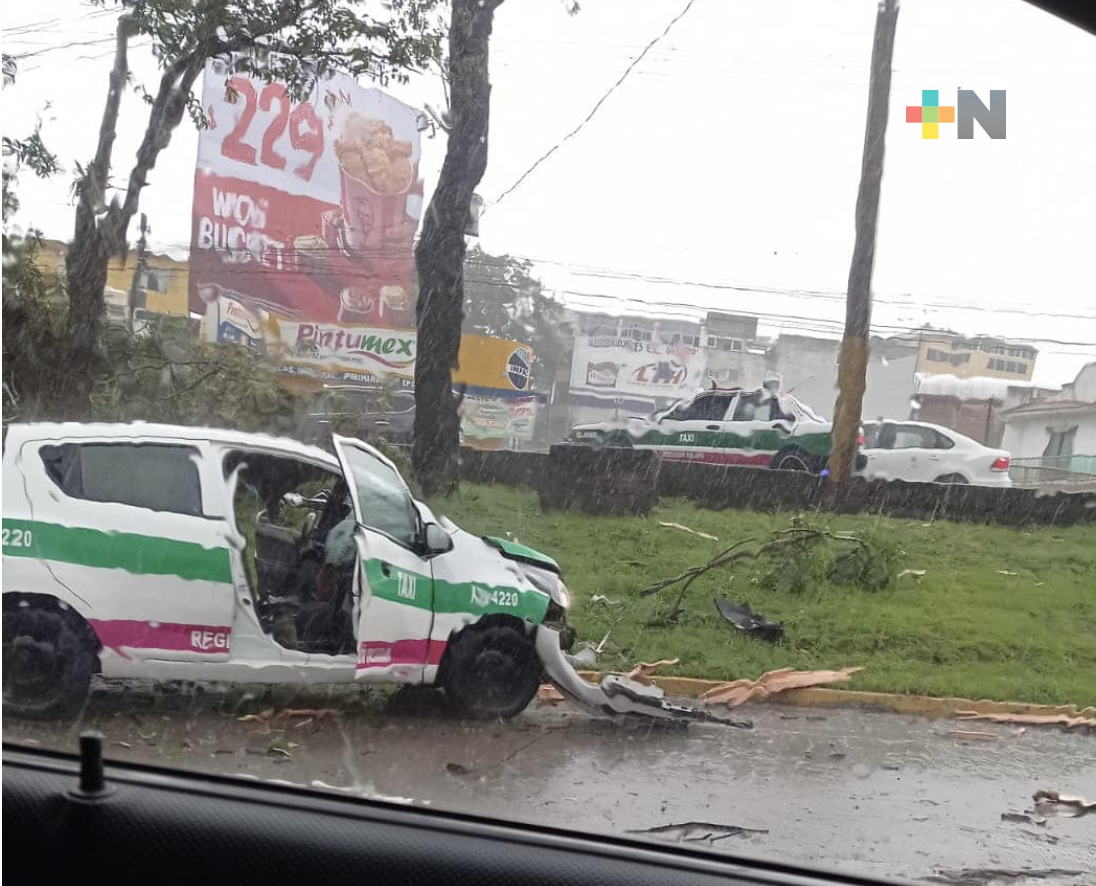 Tras tormenta en Xalapa, árbol cae en taxi y lesiona a chofer y tripulante